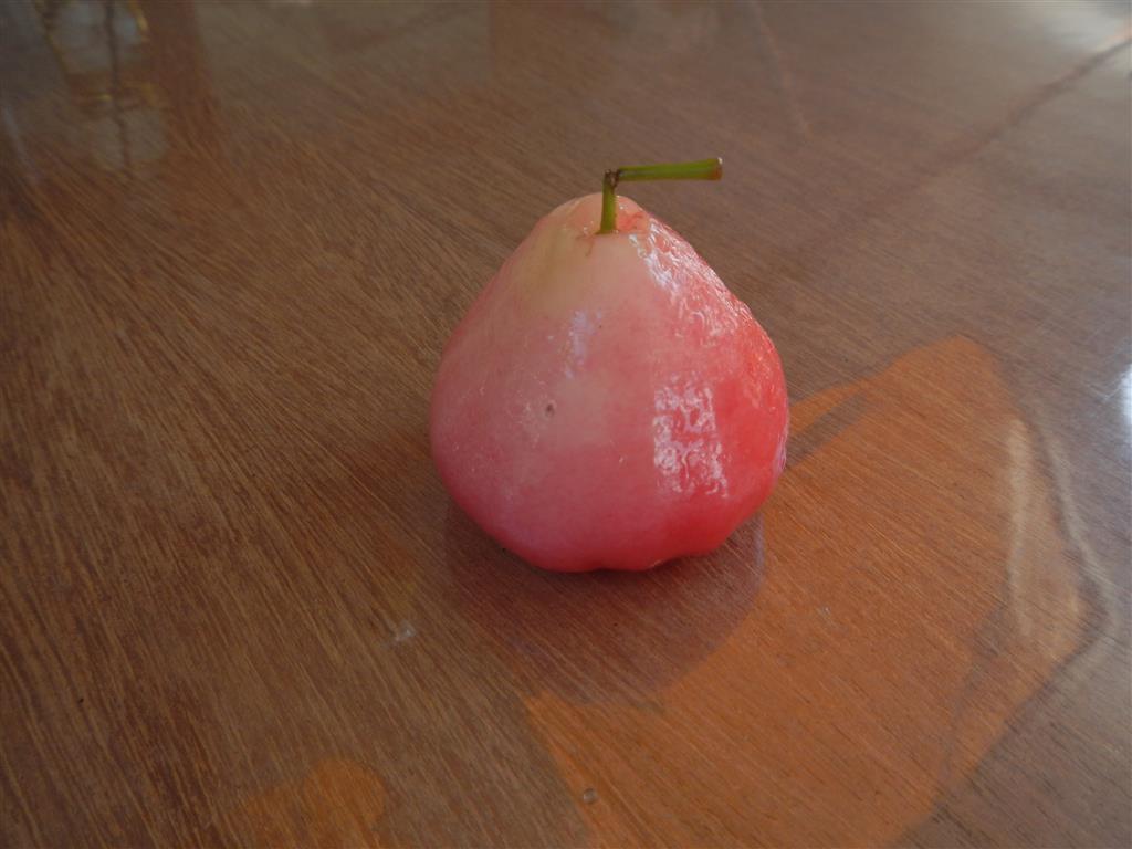 Wer weiß was das für eine Frucht ist? Schmeckt sehr interessant, etwas wie ein mostiger Apfel.