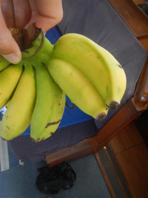 die doppelte Banane