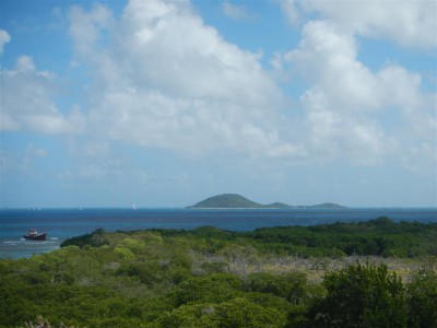 Blick aus dem Bus nach Windward Richtung Union Island