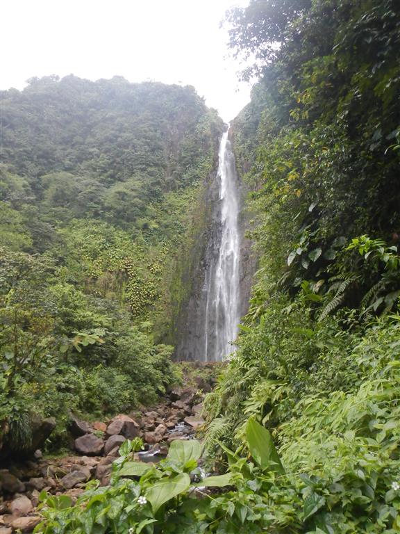 Wasserfall auf Guadeloupe.