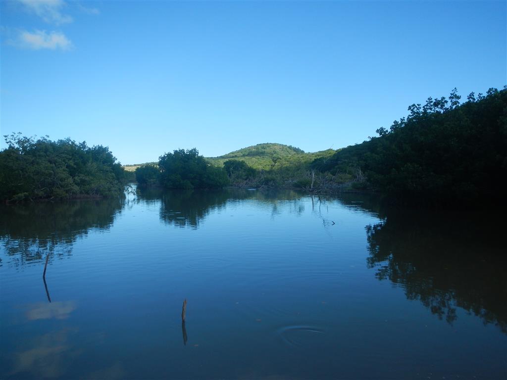 Salzsee