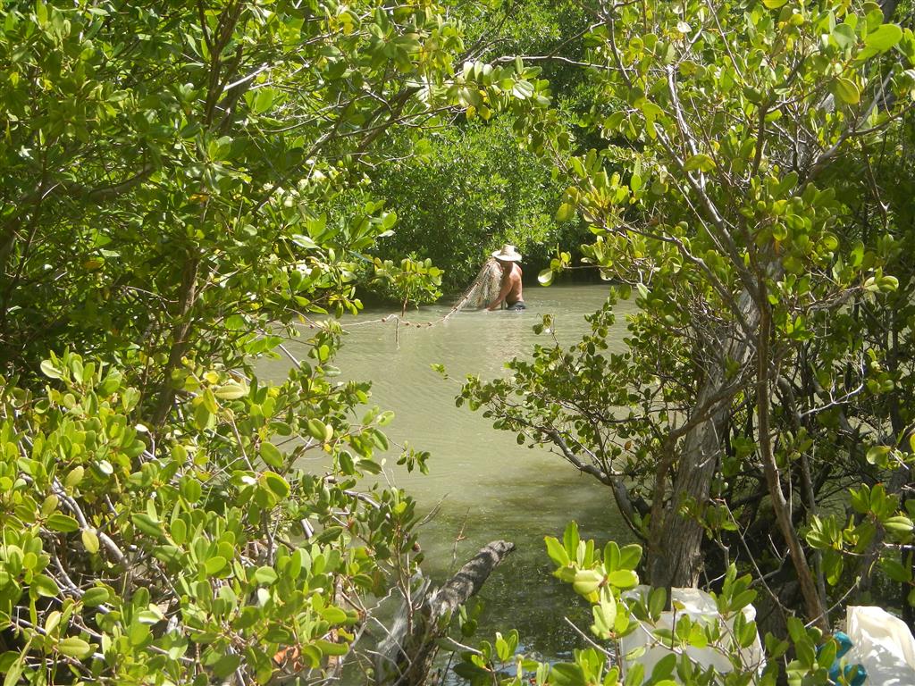 Ein Fischer versucht sein Glück im Brackwasser.